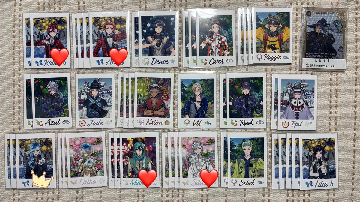 しまうま tweet media