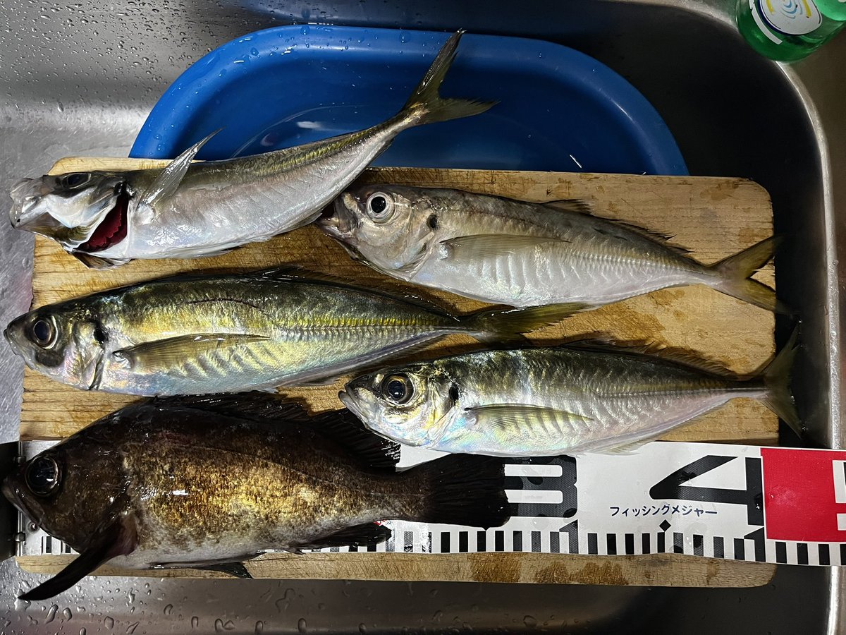 ꧁ AL_madengi ꧂ tweet media