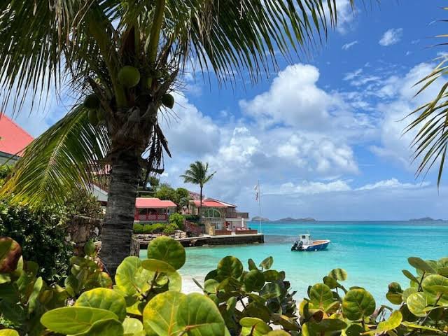 saracura do mangue tweet media