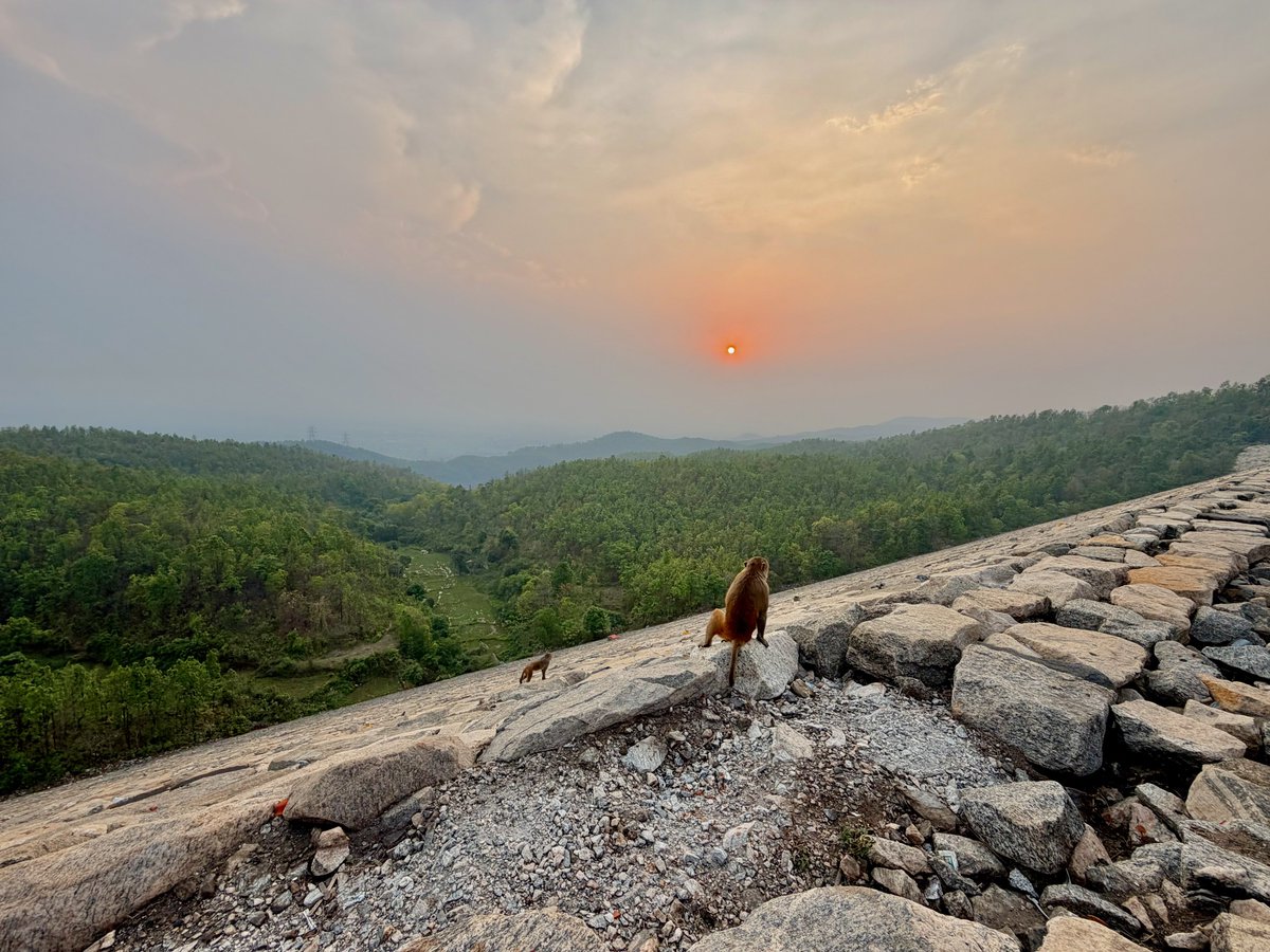 jh09shubham's tweet image. Evening skies paint a beautiful backdrop for the dreams we wish to pursue 🌸

#evening 
#sunset 
#ajodhyahills 
#purulia
#westbengal