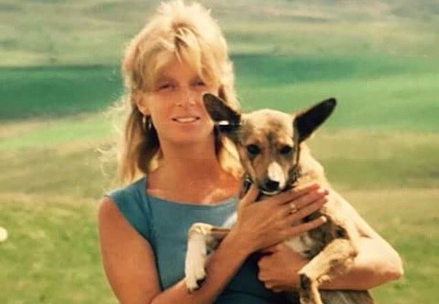 vivs ౨ৎ tweet media