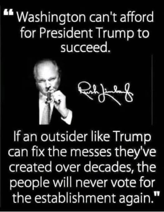 Tim Doolittle tweet media