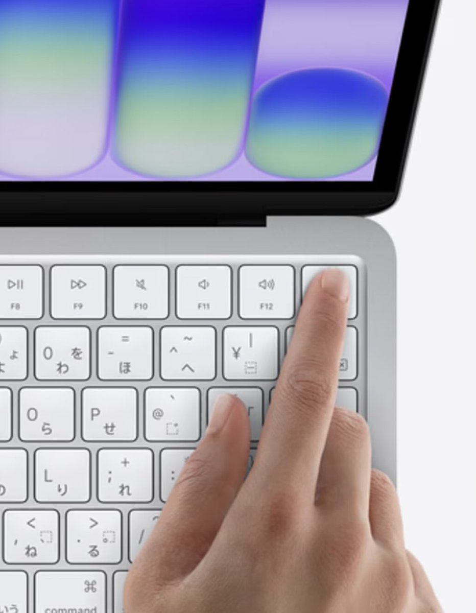 UnGatoNipón tweet media