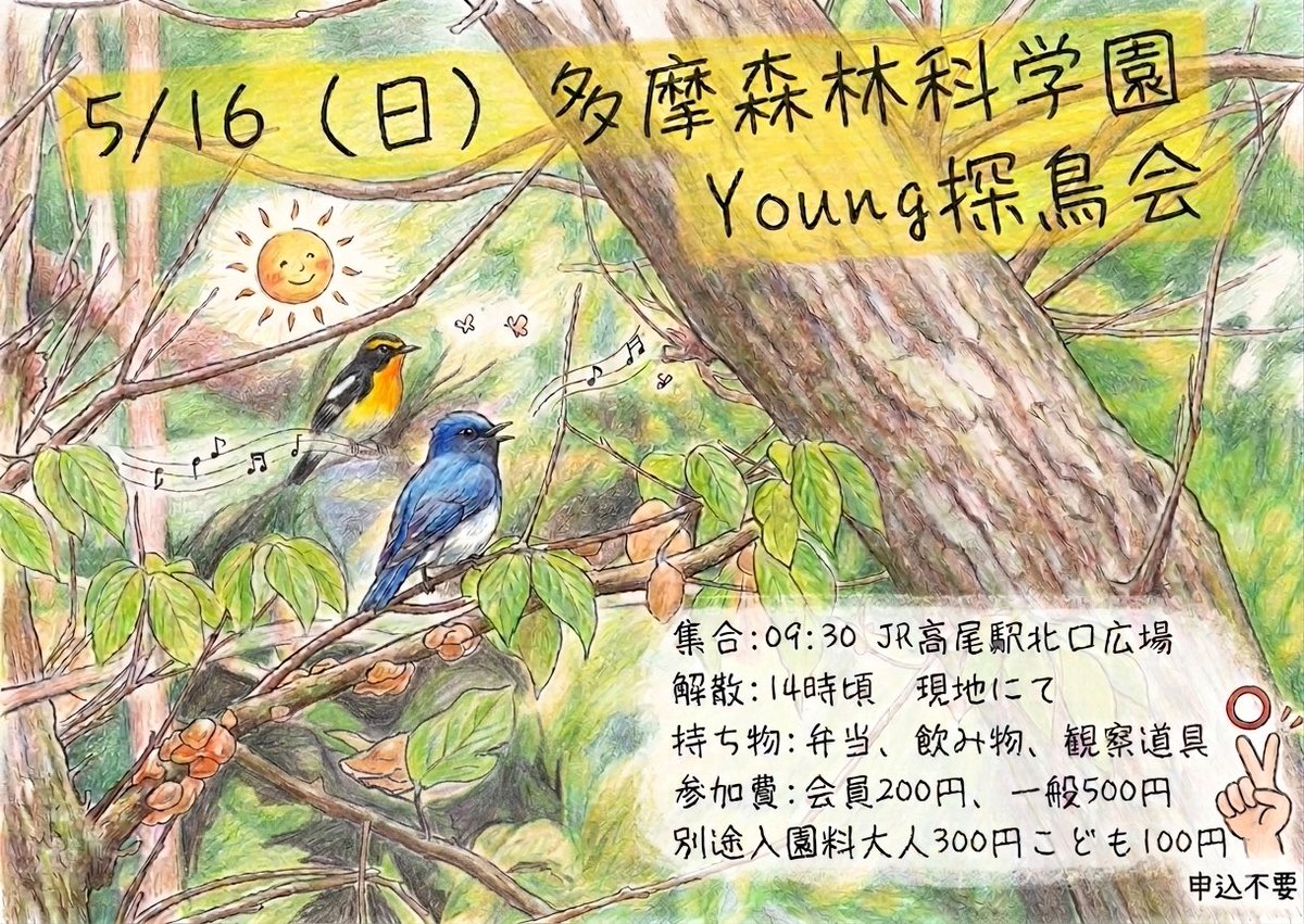 5/16（日）多摩森林科学園ヤング探鳥会の詳細です🐤
同じ高尾ですが今回は「高尾駅」集合ですのでご注意を⚠️
多摩森林科学園はより整備されていて、混雑を避けて観察ができるところが魅力です⛰️
キビタキやオオルリなど夏鳥を中心に探しましょう！
申込不要ですのでお気軽にご参加ください^_^

#ヤン探