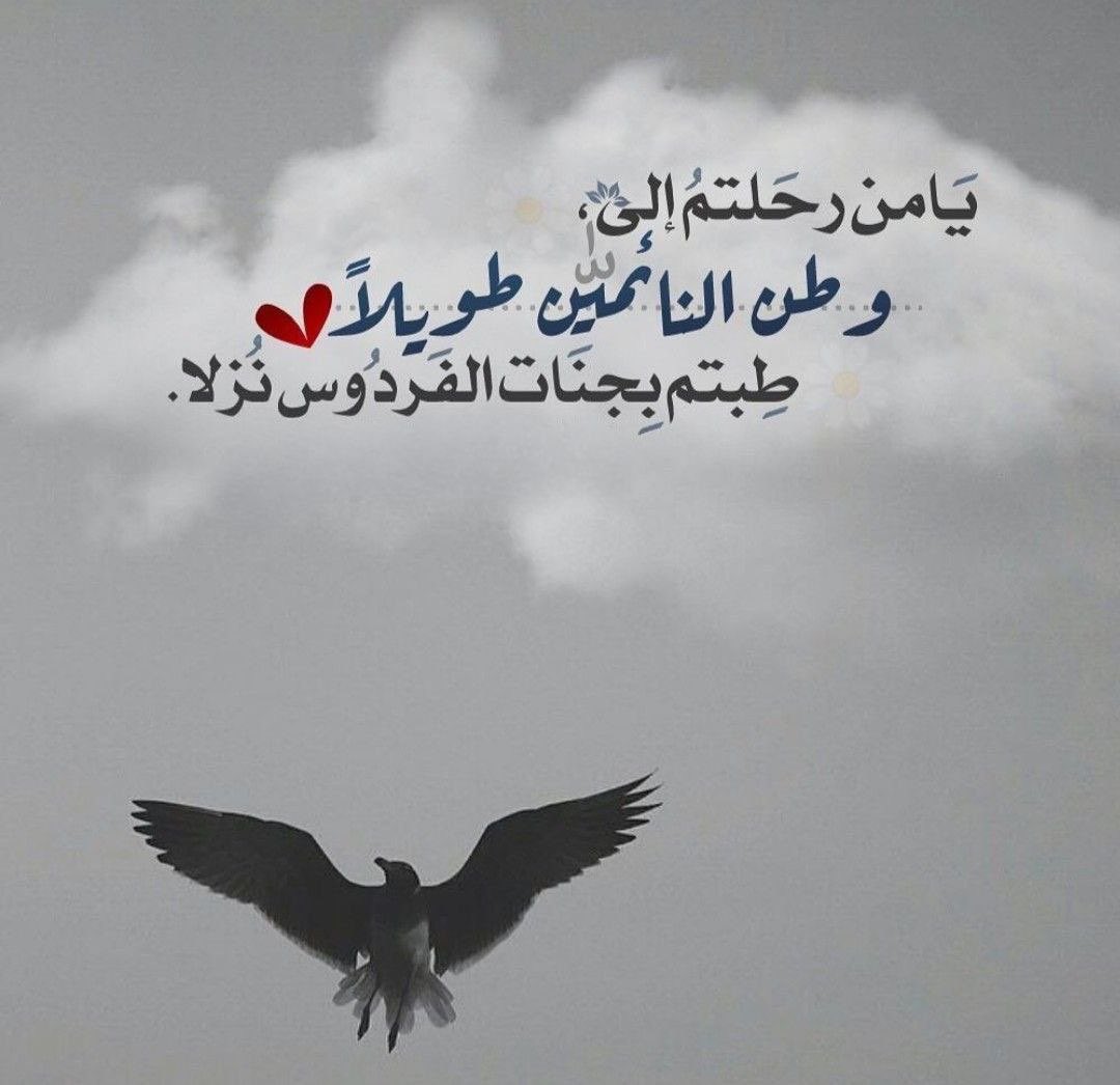 ‏ﺂلـمــھـــرھ 𓃗 tweet media