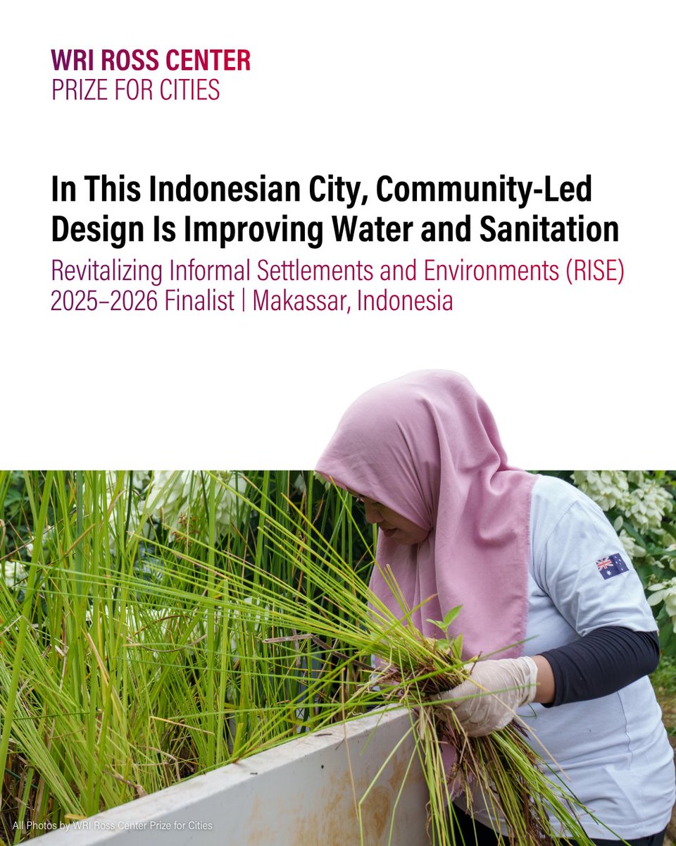 WRIRossCities's tweet photo. T-3 days until we announce the Grand Prize Winner of the 2025–2026 @WRIRossCities #PrizeforCities 🏆!

In Makassar, 🇮🇩, @MonashUni's RISE is reshaping informal settlements as models of climate resilience, public health &amp; community-led urban change.

👉 https://t.co/5U6LanIqoa https://t.co/4VB3V2qb4x