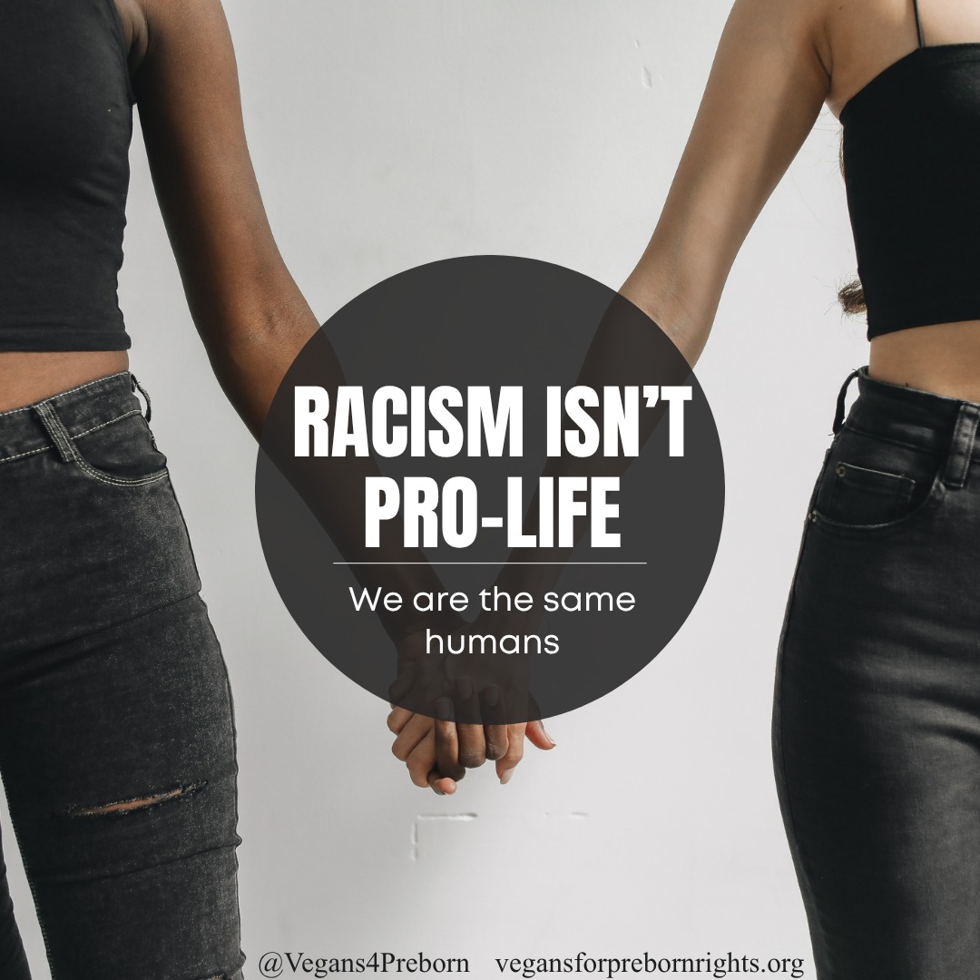 Since conservatives have a stronghold over the pro-life movement, we have to routinely remind people that racism doesn't fit in with pro-life ethics. Both racism and oppression against the preborn are the same concept, just directed toward slightly different groups.
