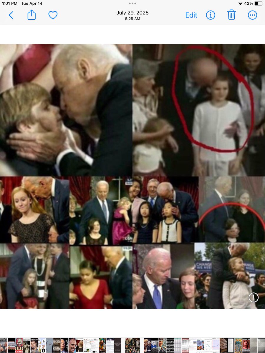 Sophie🦉🇺🇸 tweet media