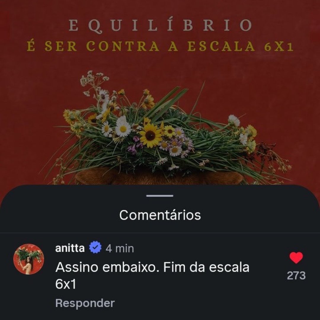 Gato Only tweet media