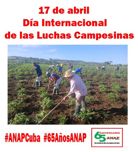 Ideológica ANAP Matanzas (@irisrodrgnoguei) on Twitter photo 