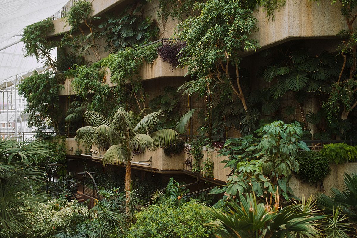 designboom's tweet photo. david altrath documents the jungle suspended inside london's barbican conservatory 🌿https://t.co/SdUeiJSi5L https://t.co/eOifqHAdkI