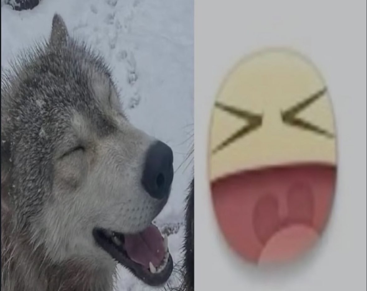 danny 🌻 tweet media