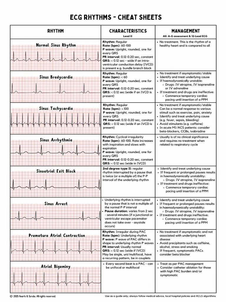 Яizal do tweet media