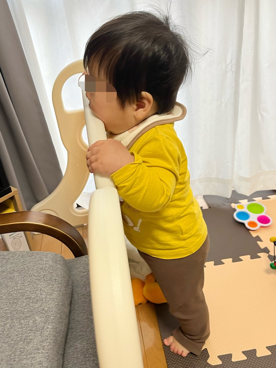 ライスちゃん☺︎︎︎︎🦕🐝࿆ tweet media