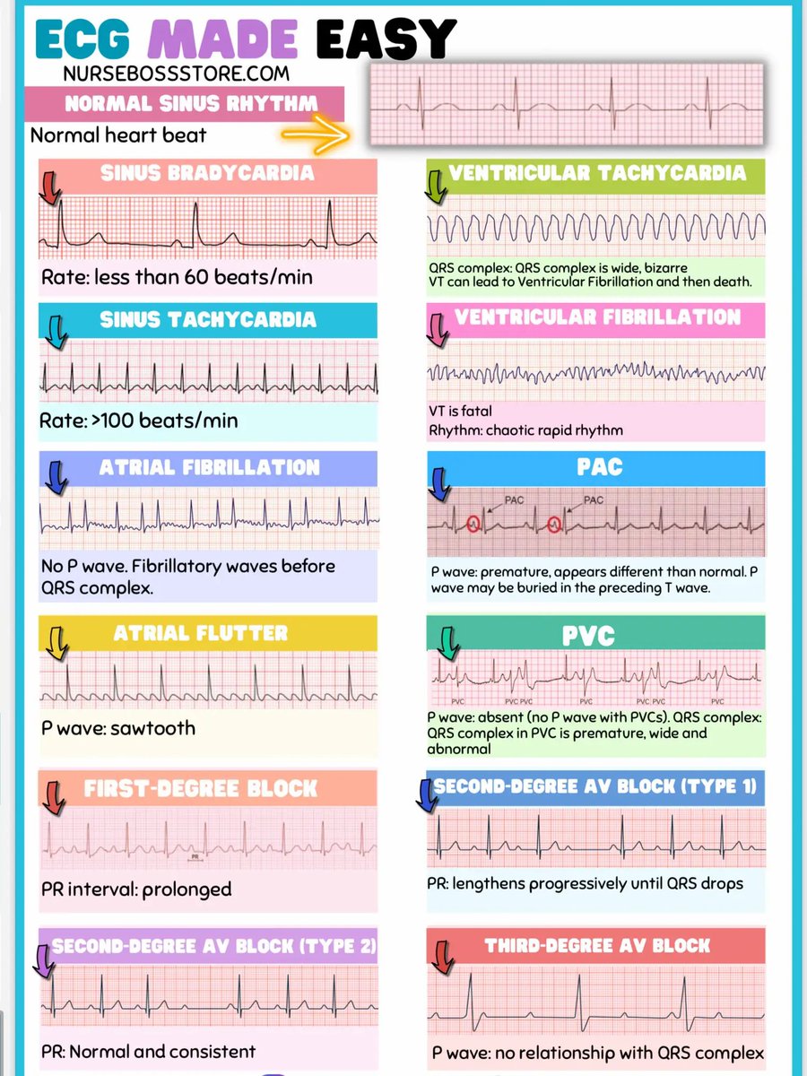 Яizal do tweet media