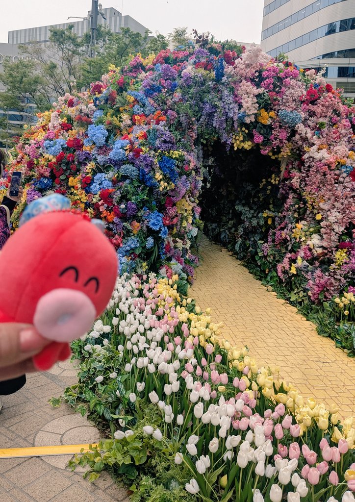 himawari tweet media