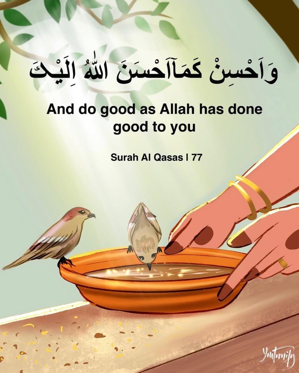 Ahmadspeaks_4U's tweet image. Many birds die in summer due to lack of water. Place water pots for thirsty birds on terrace and balconies.
This will feed your soul with a lot of gratitude ✨

Feel free to share 🕊️ issues

#Humanity #Wisdom #Peace