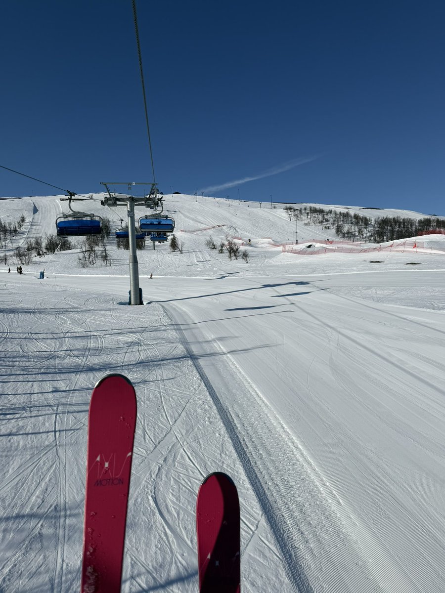 louise carlsson tweet media