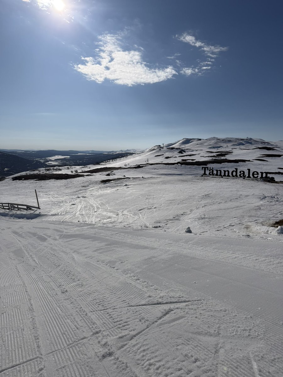 louise carlsson tweet media