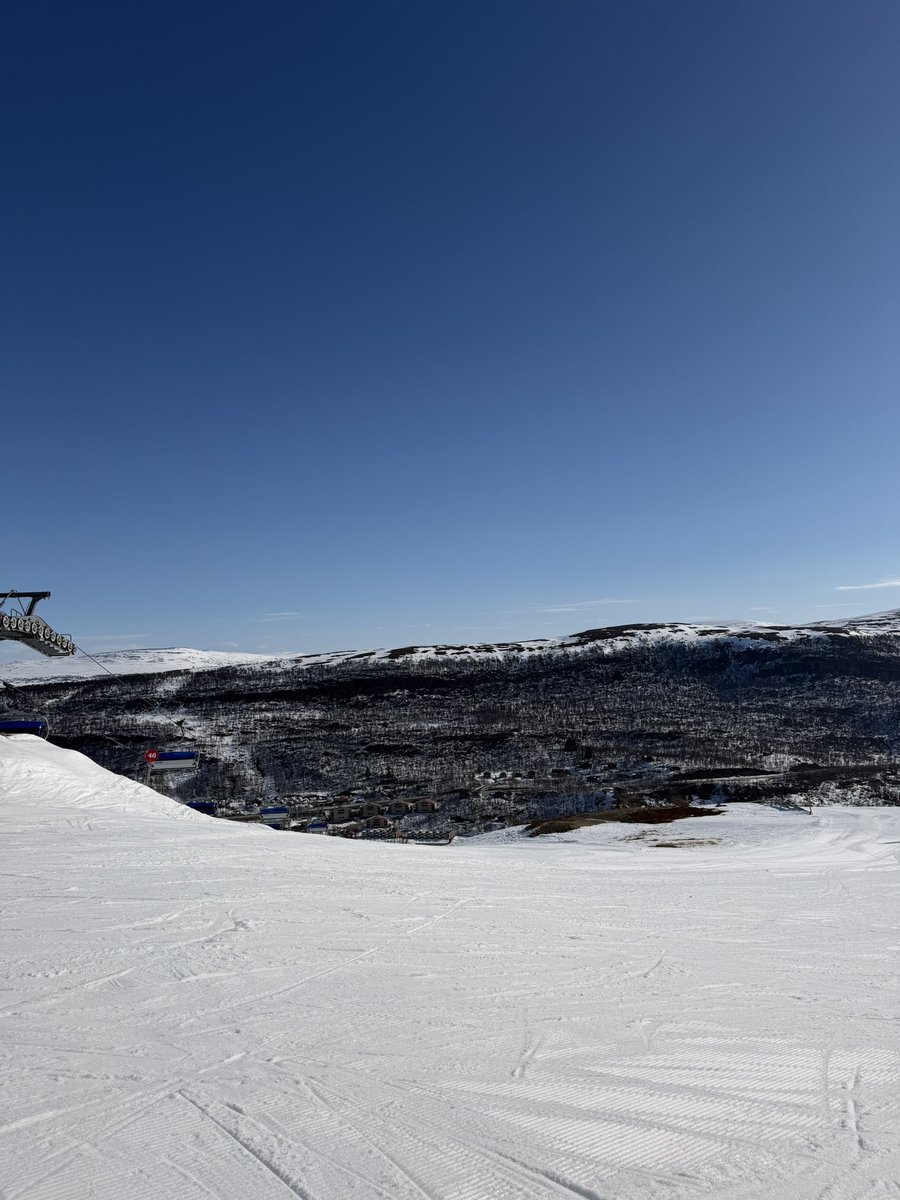 louise carlsson tweet media