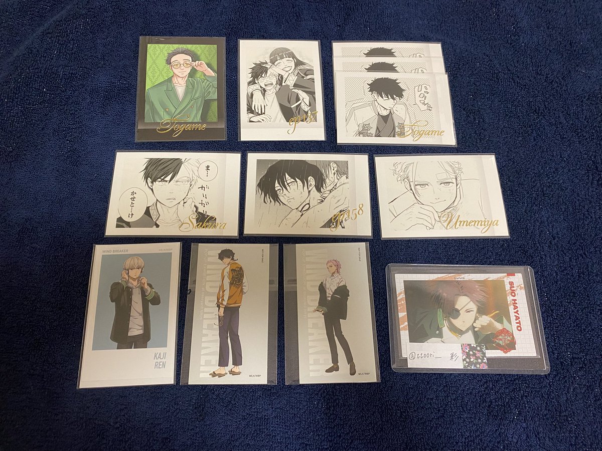 彩 -sai- tweet media