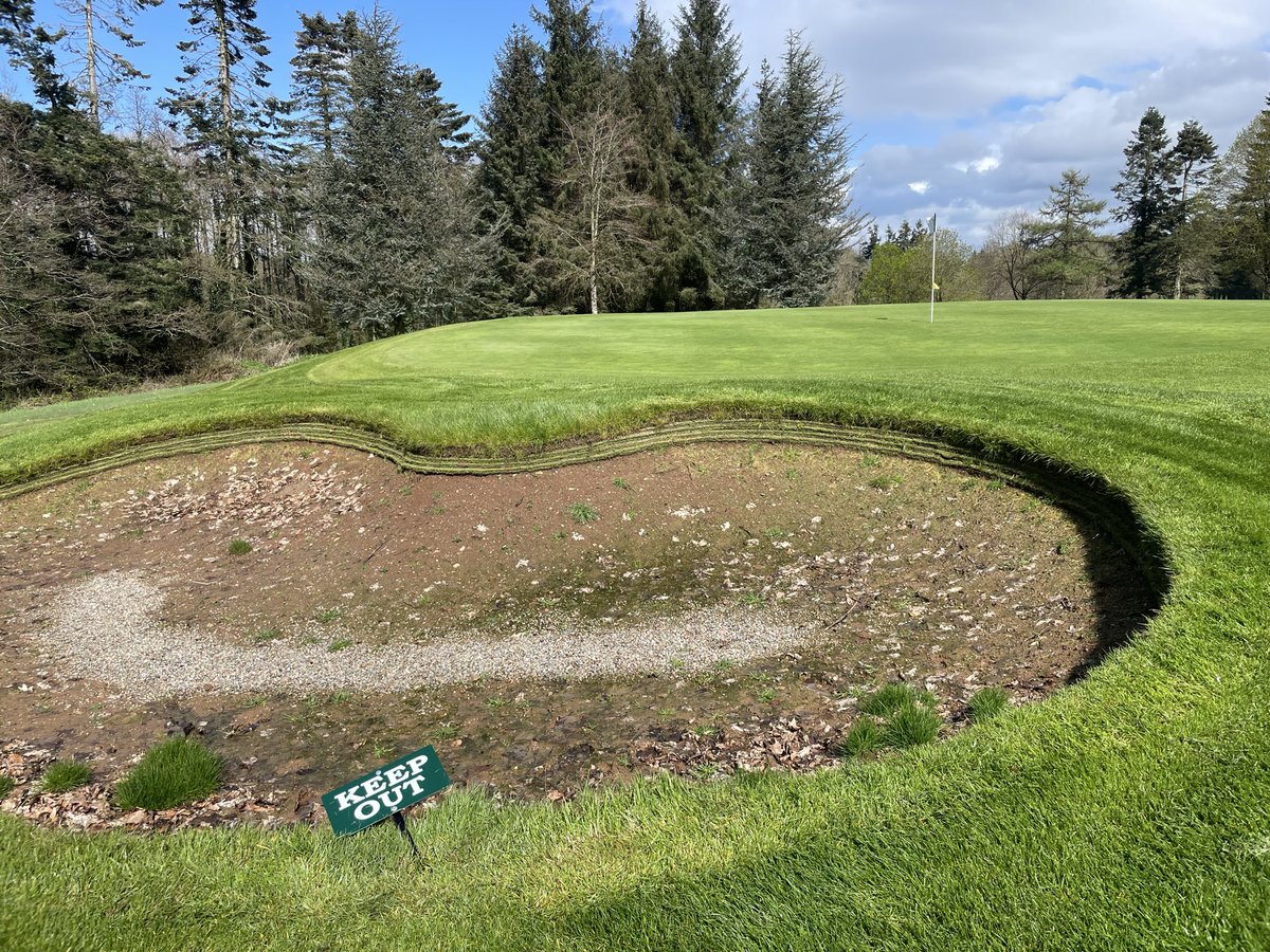 Kearney Golf Design tweet media