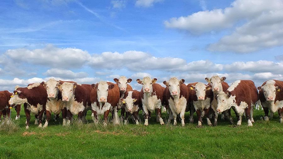 Sama Hoole tweet media