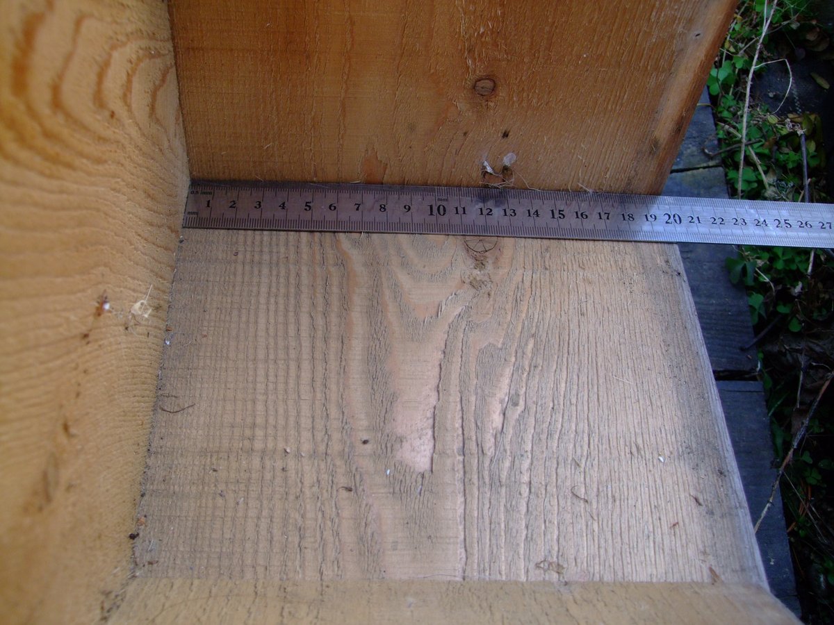 NestBoxCamera tweet picture