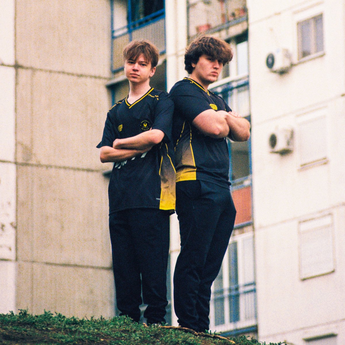 Team Vitality 🐝 tweet media