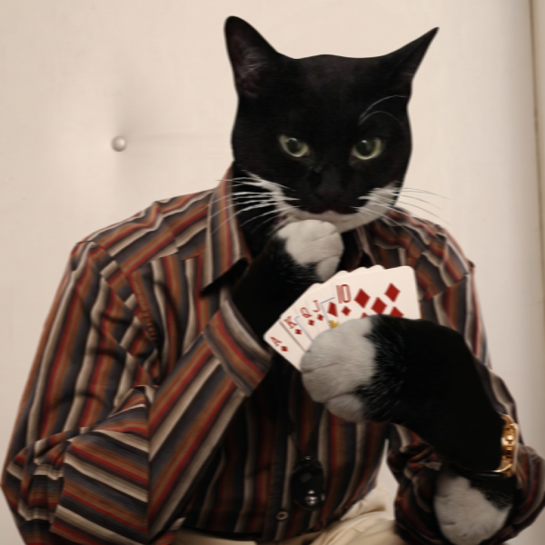 Maxwell_MemeCat's tweet photo. take a chance. https://t.co/x7DiviCnwm