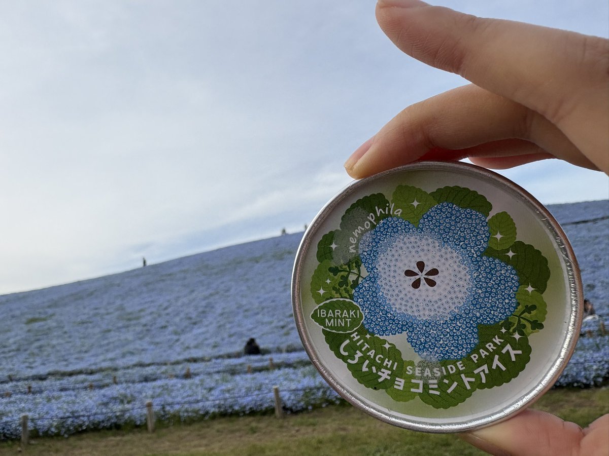 すいぽて tweet media