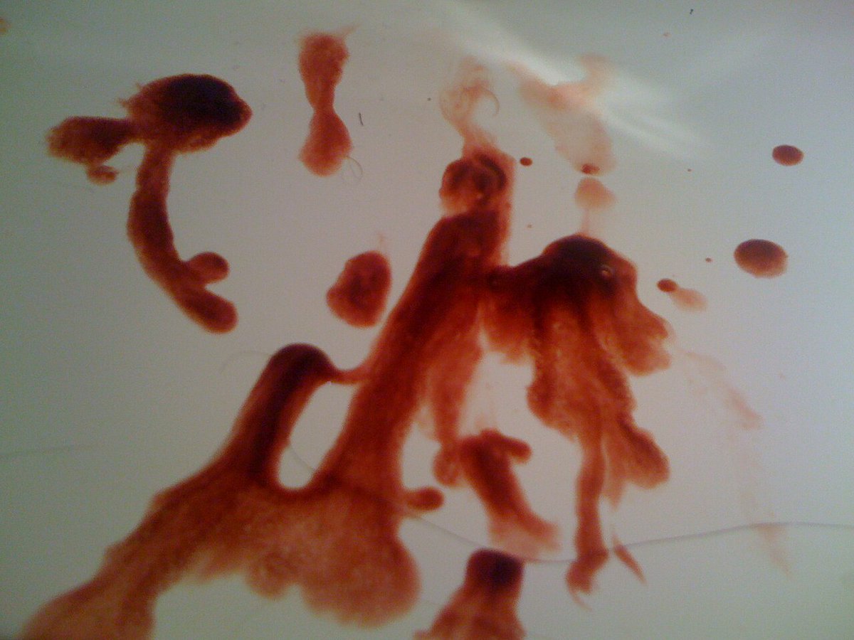 Modern Health tweet media