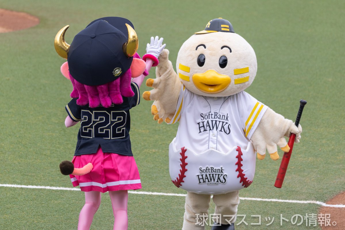 球団マスコットの情報。 tweet media