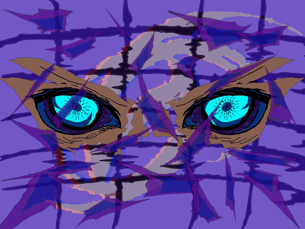 Battle Arts Academy tweet media