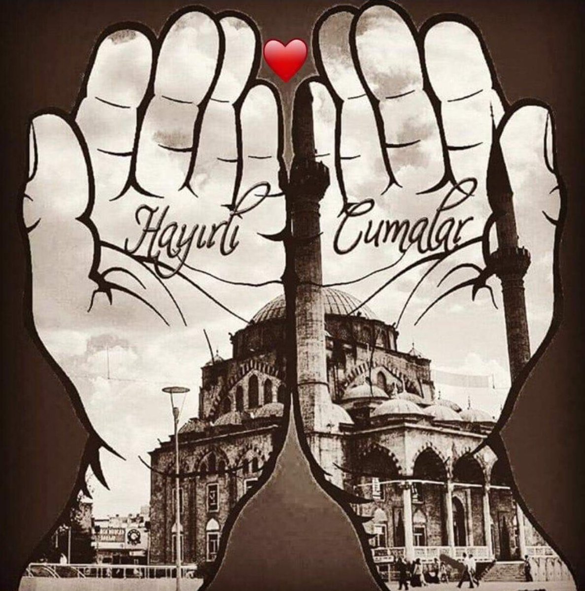 HALLURLU1's tweet photo. https://t.co/XKF14X048T