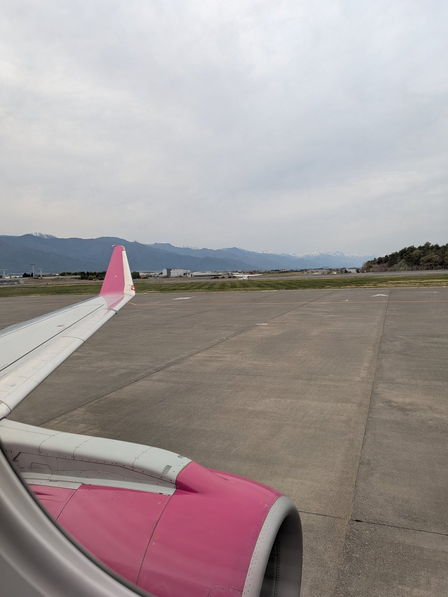 だーうえ！【麻雀Vtuber】 tweet media