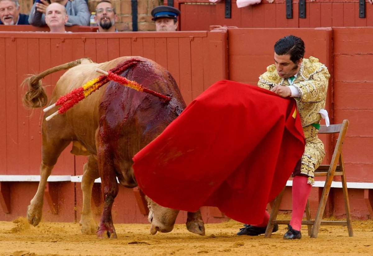 Fundación Toro Lidia tweet media