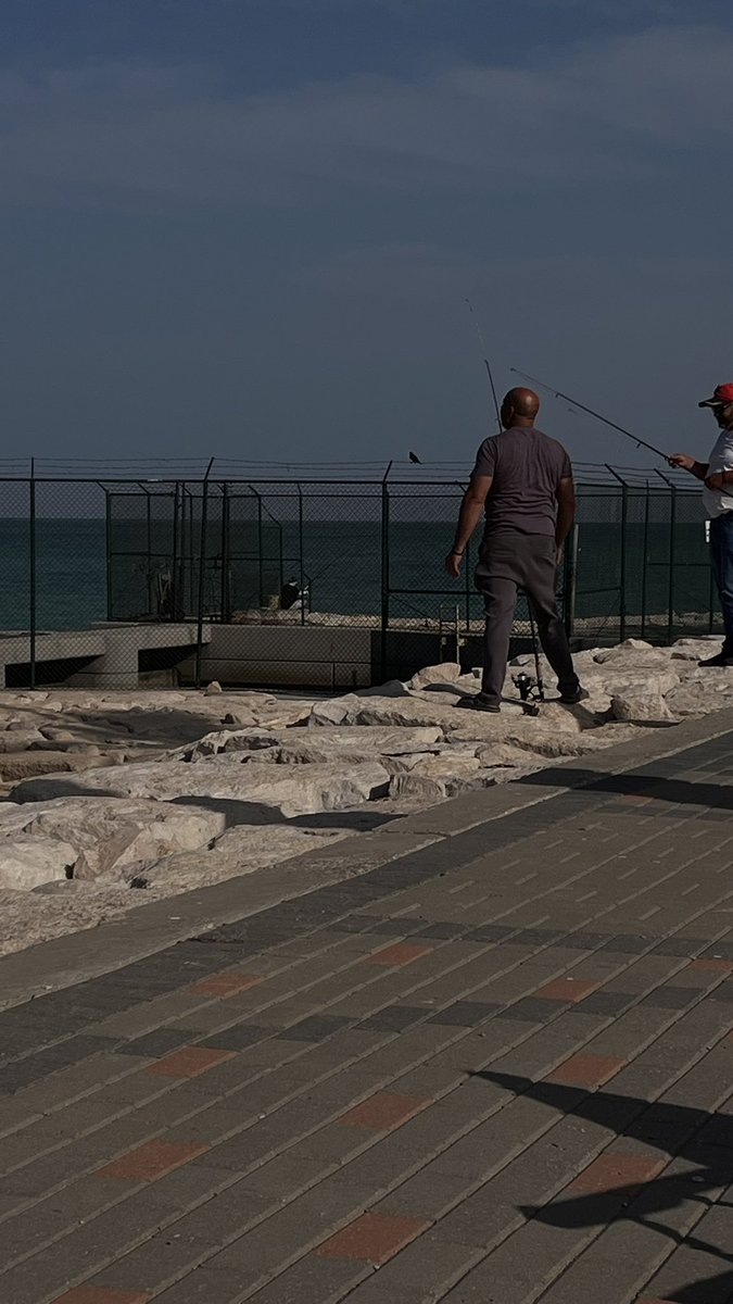 tune🎼 tweet media