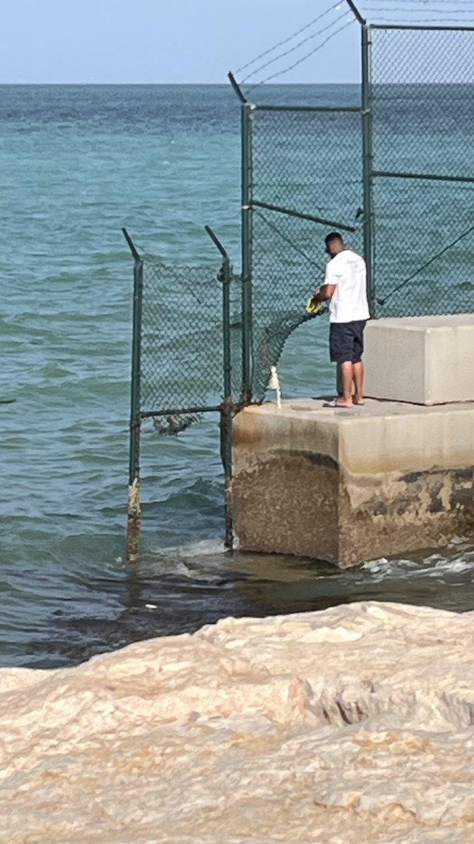 tune🎼 tweet media