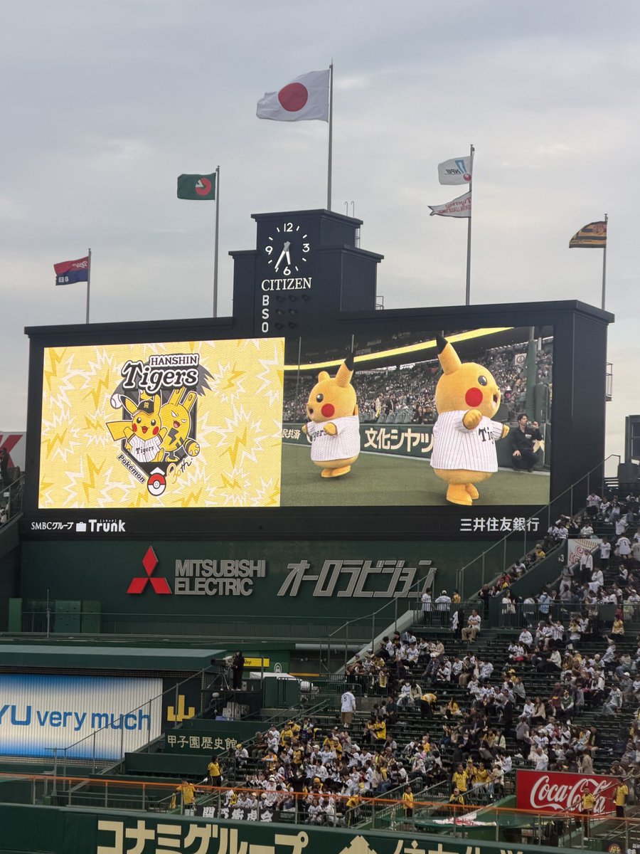 しゅり™️ tweet media