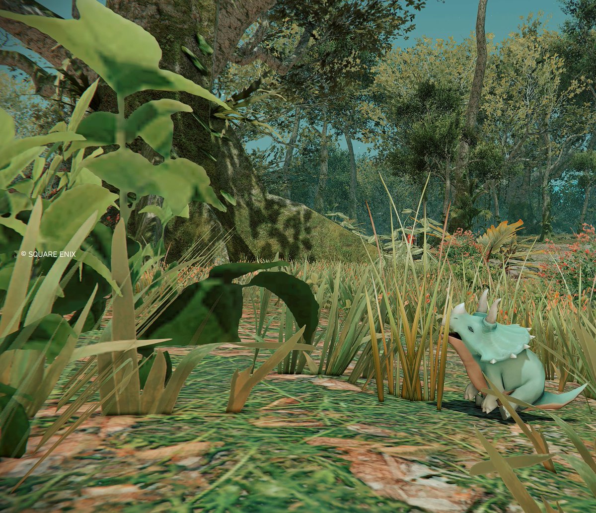 めるこ tweet media