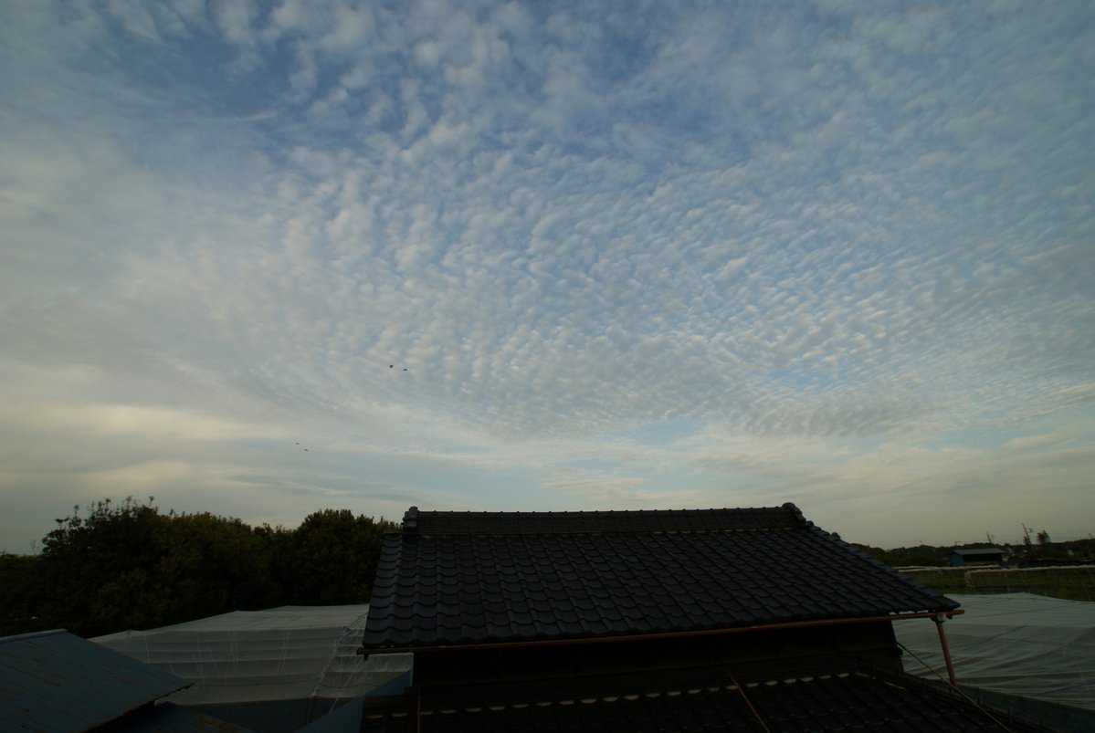 ki4188nashizou's tweet image. 今日もお疲れさまです🤗
現在我が家の気温計は１６℃を示しています
今週ももう週末ですね
皆さま、この後も良い時間をお過ごしください😊

#SONY #α330 #CCDセンサー
#KONICAMINOLTA #広角ズームレンズ