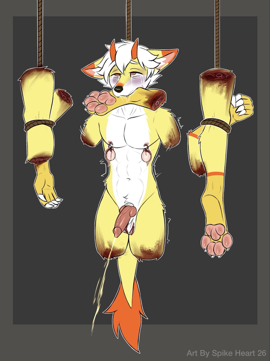 Bad 🥧 tweet media