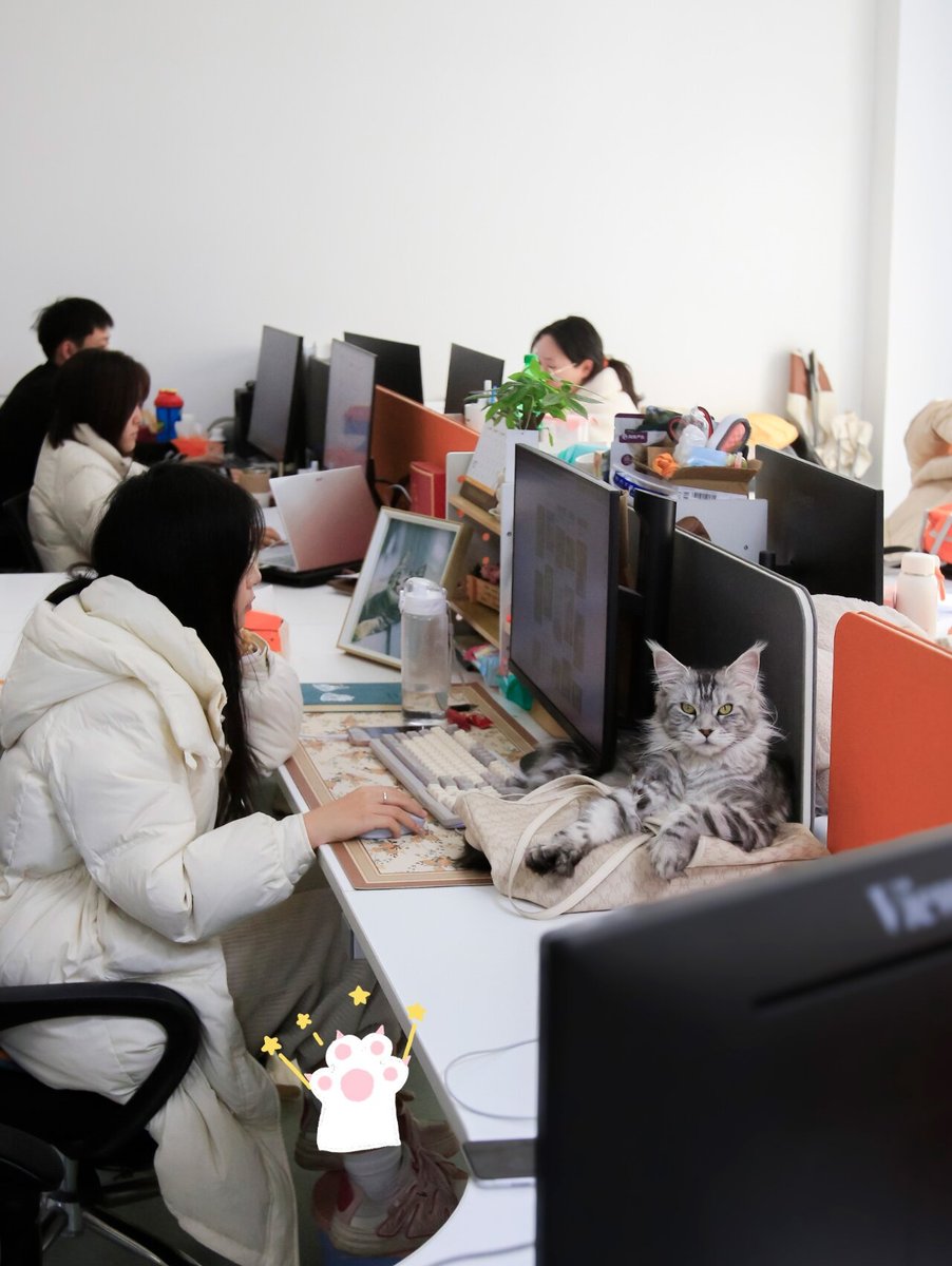 ณัฐชนน ทองแย้ม tweet media