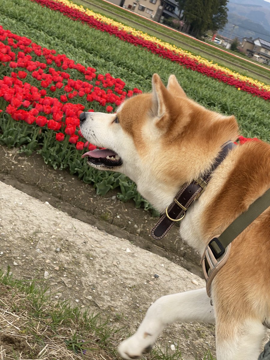 七宝🌿🕊🐇 tweet media