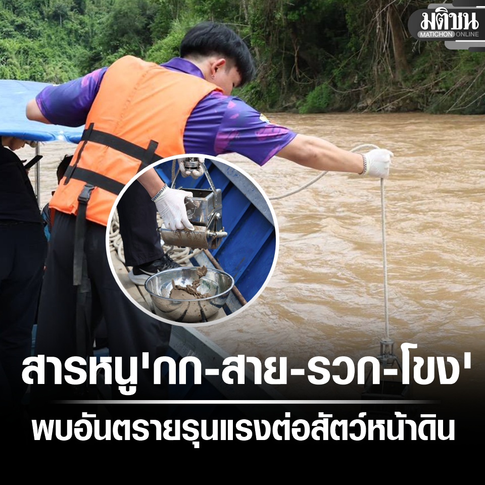 Matichon Online tweet media