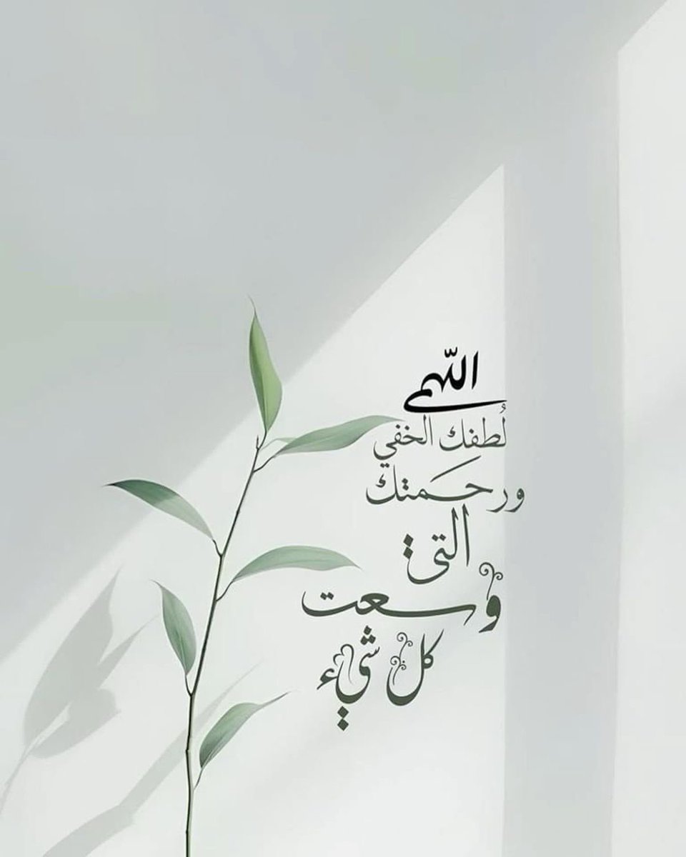 سُكرة🍥🌿 tweet media