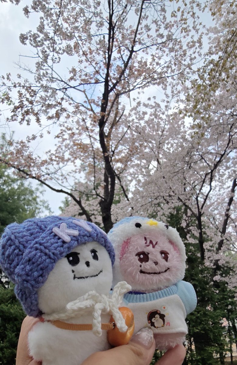 Kyumae Cho tweet media