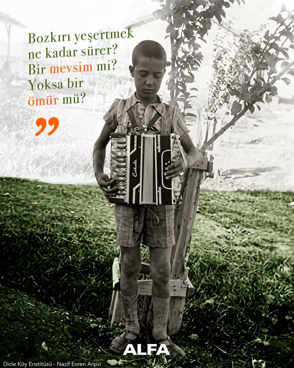 Alfa Kitap tweet media