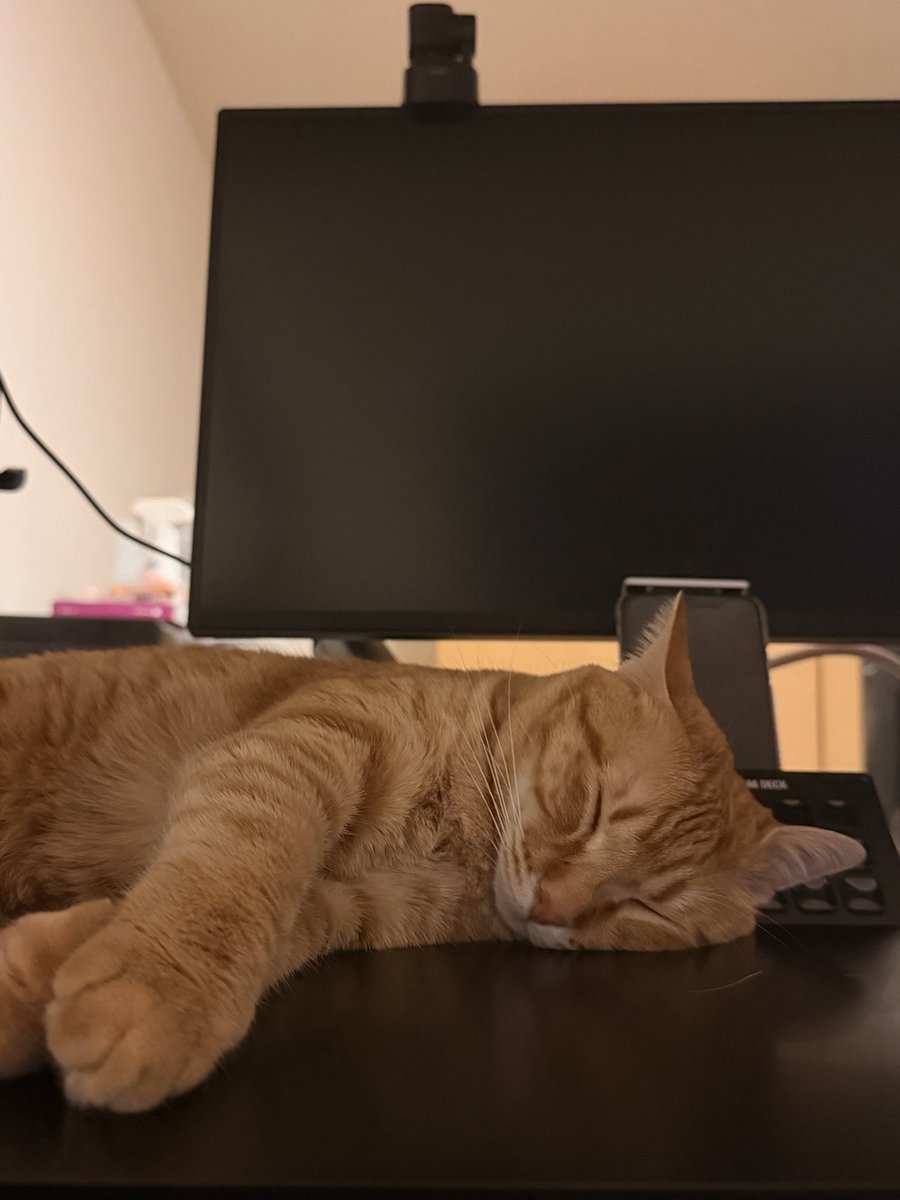 shisui(CC2) 🦊🏹 tweet media